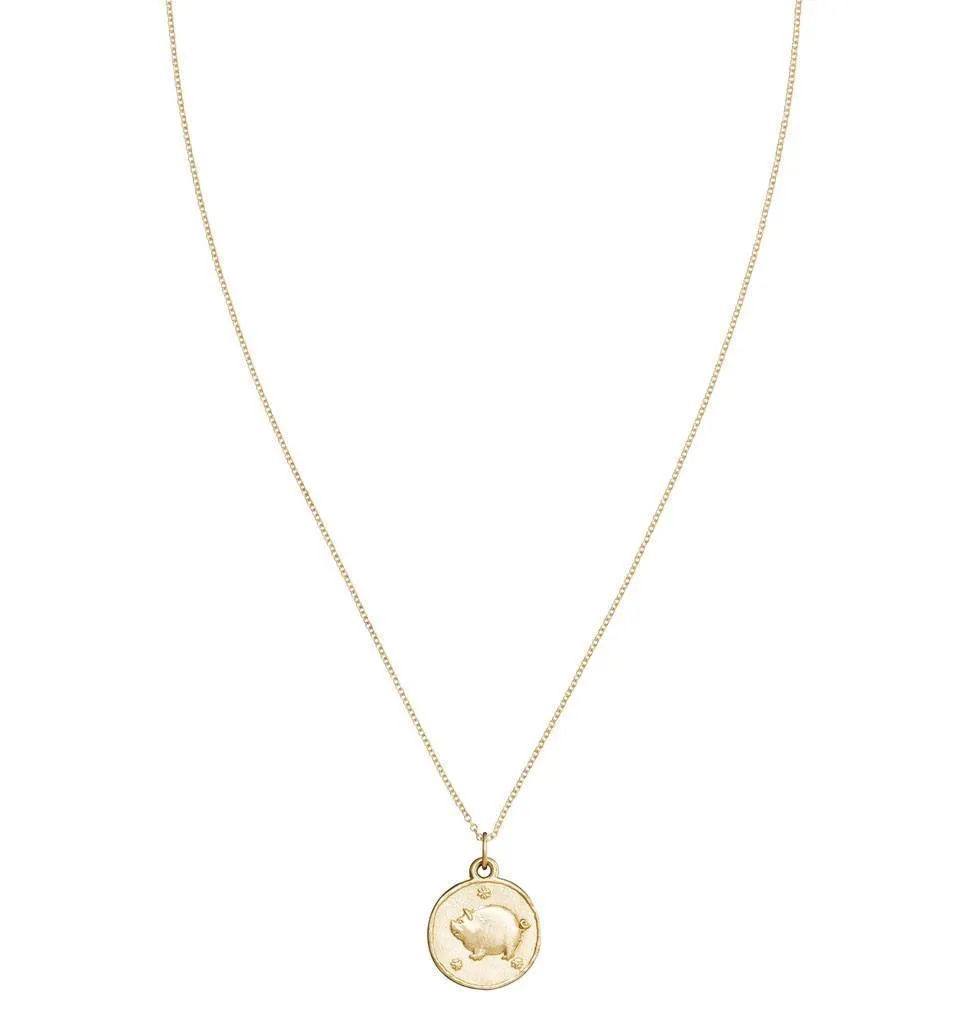 Pig Coin Charm