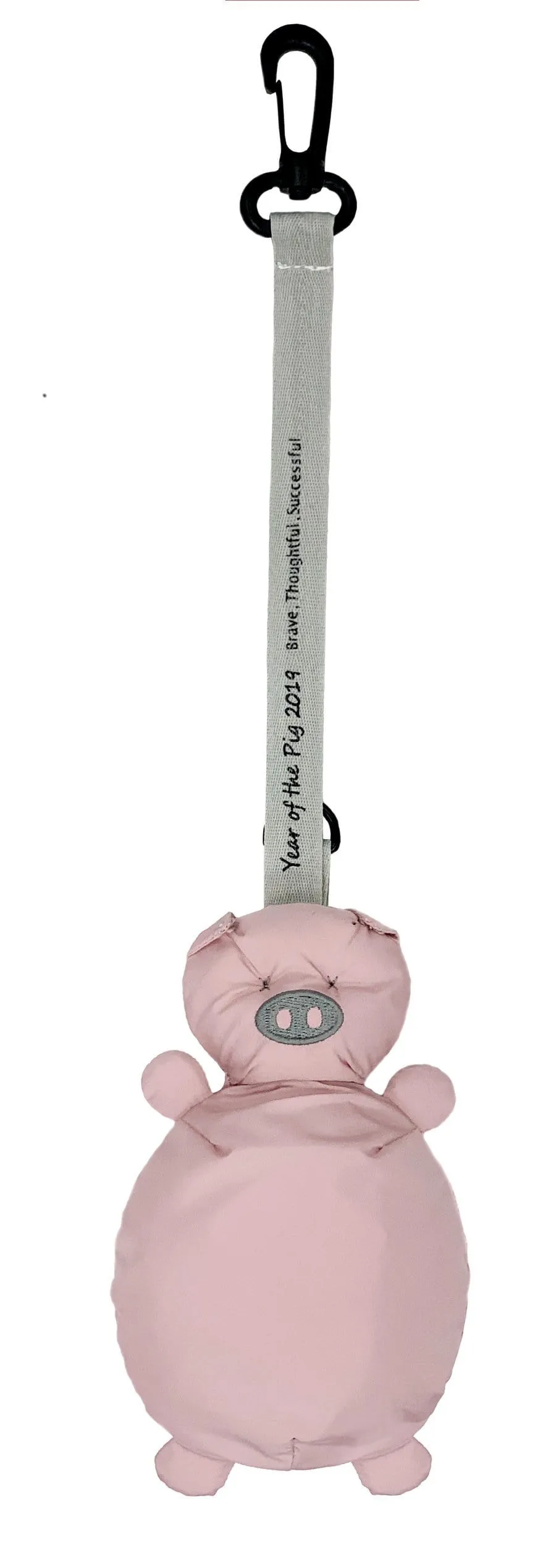 TWELVE Little Year of the Pig Pouch