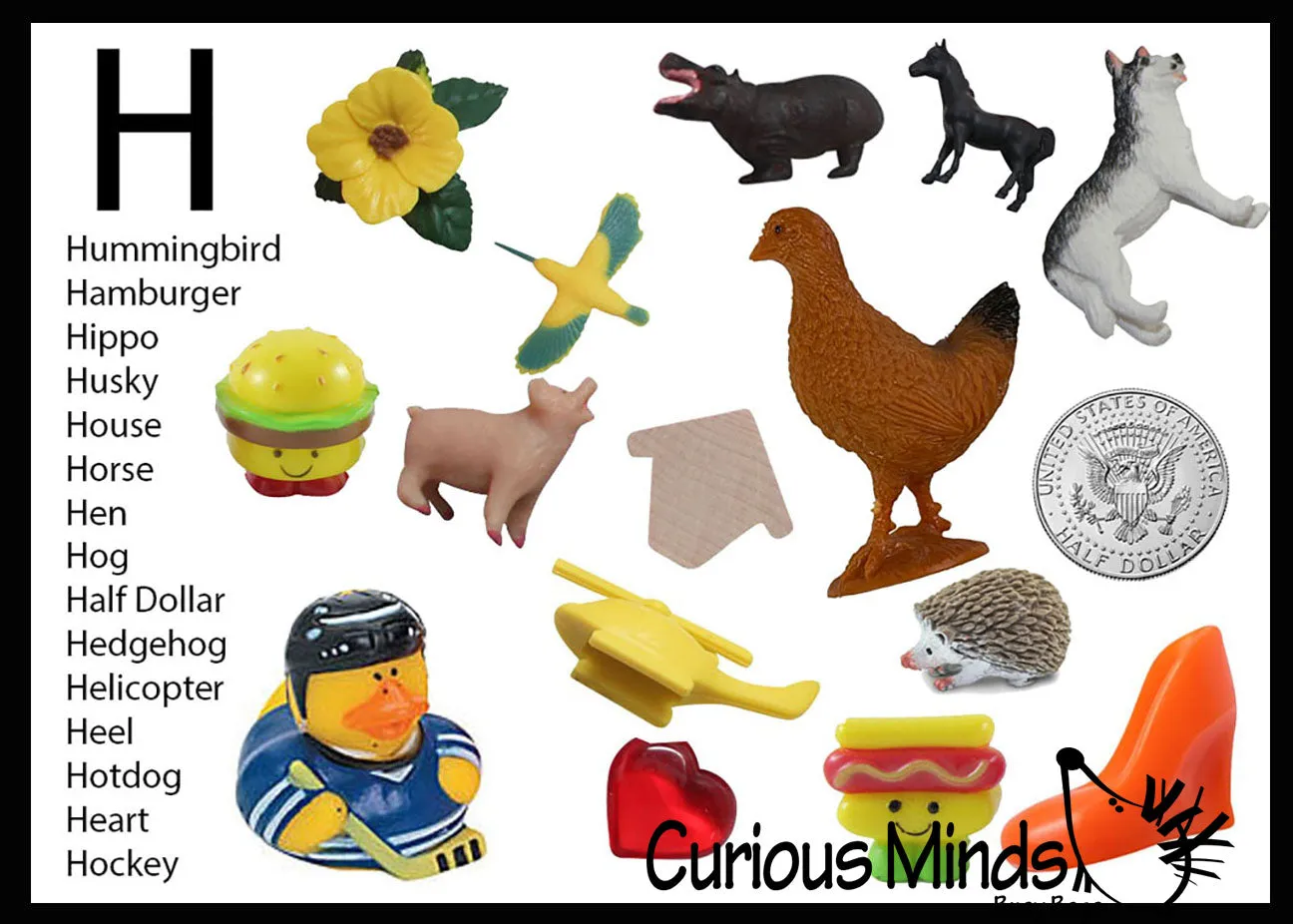 z ALPHABET OBJECTS BY LETTER H